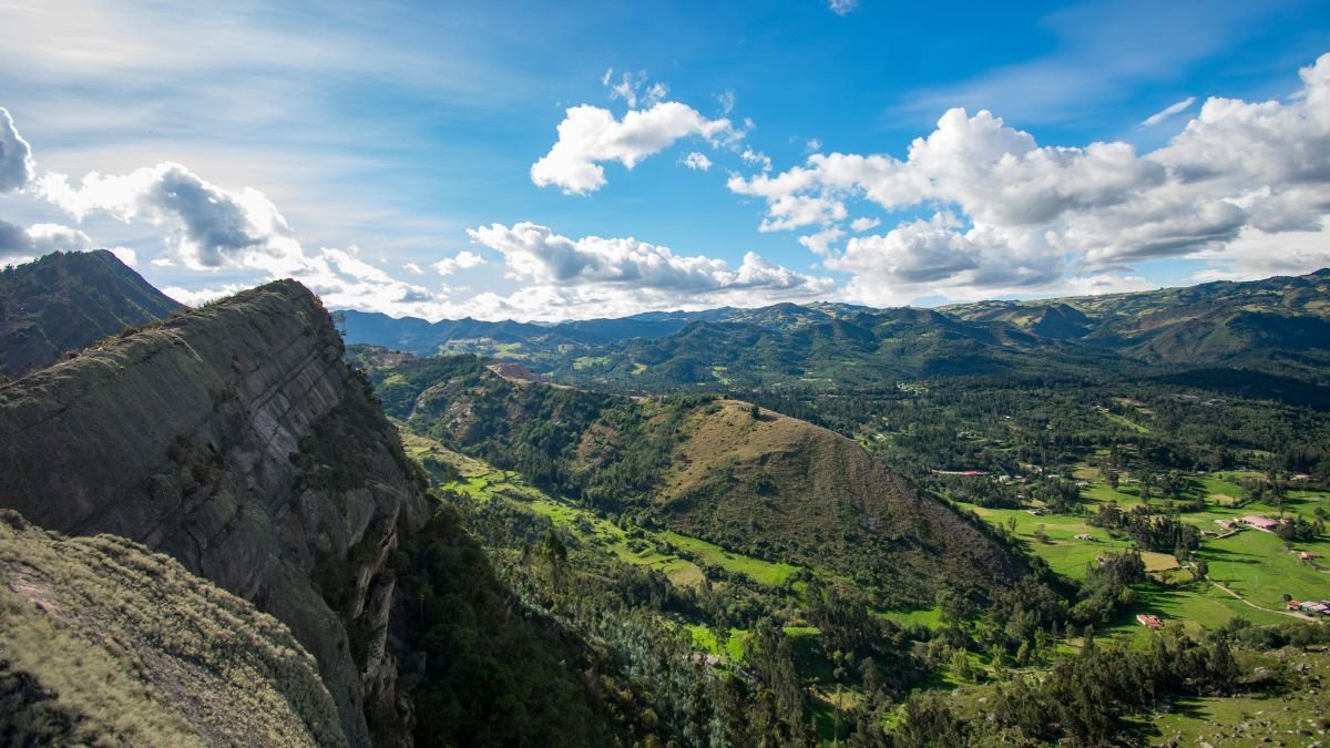 Viceministra de ambiente de Colombia expone ejes para disminuir deforestación en el país