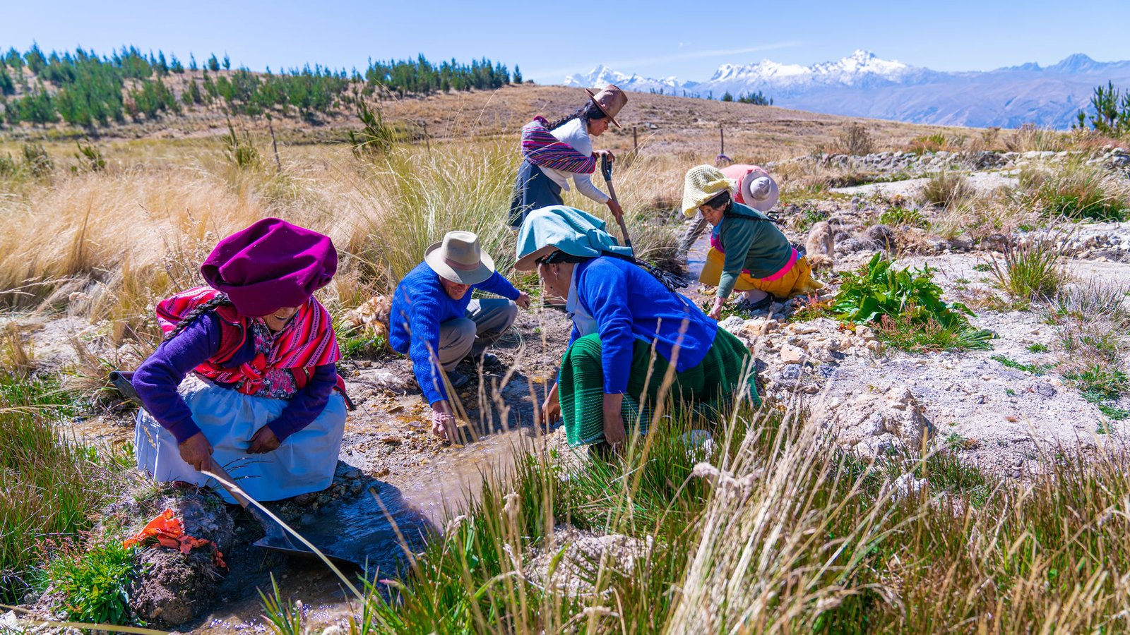 adaptación al cambio climático