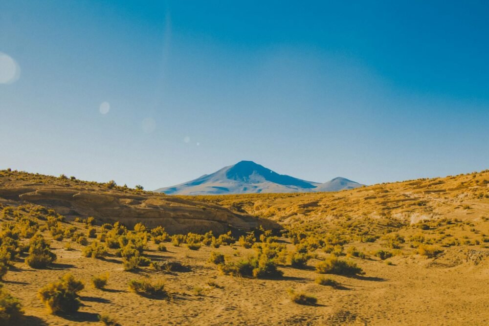 vegetación altoandina, Captivating desert landscape in Bolivia with clear blue skies and distant mountains.