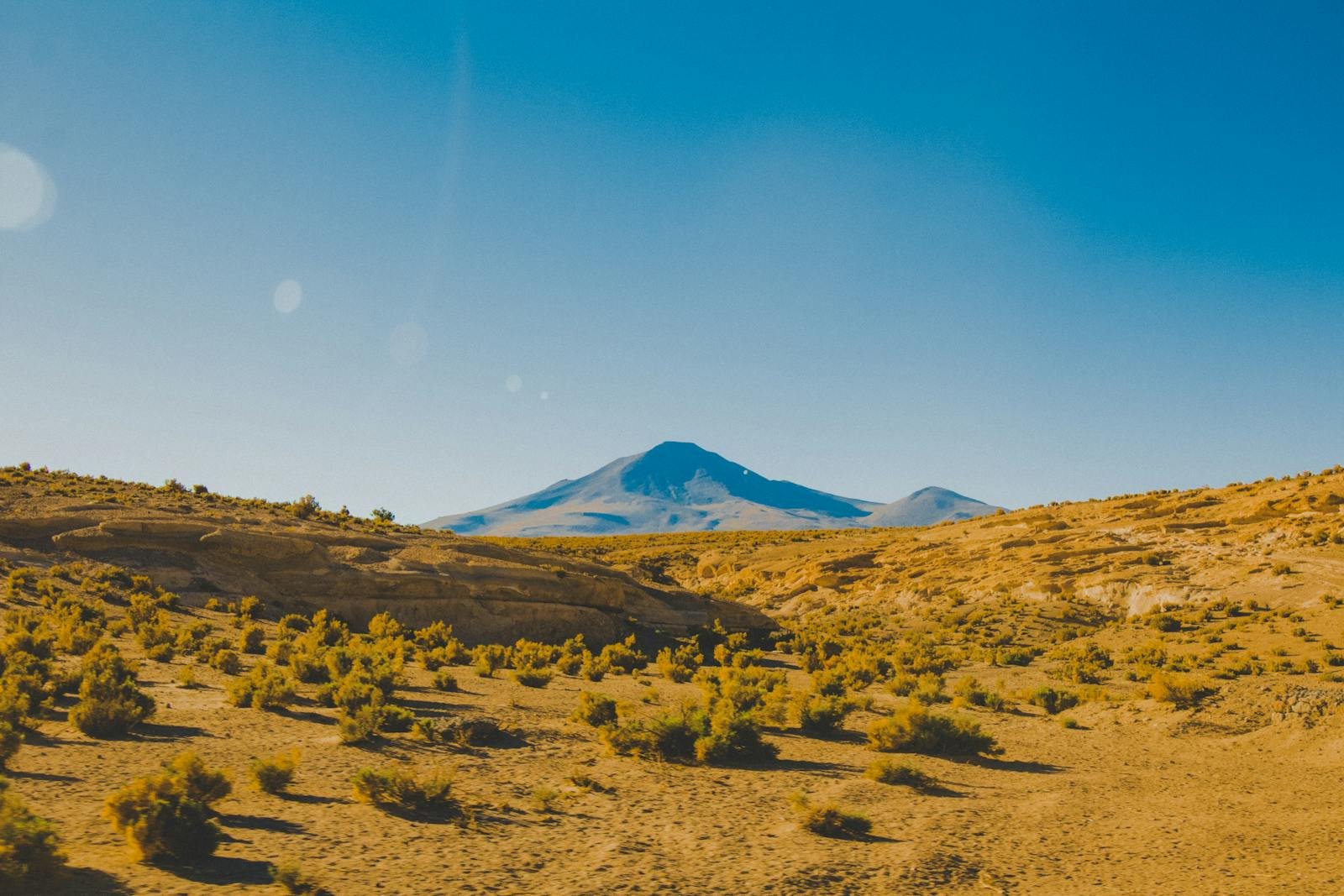 vegetación altoandina, Captivating desert landscape in Bolivia with clear blue skies and distant mountains.