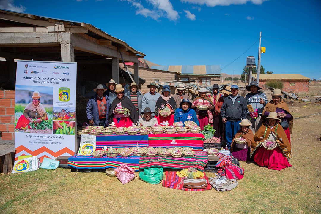 Conservar la diversidad para enfrentar un clima cambiante: guardianes y custodias mantienen vivas las papas nativas de los Andes