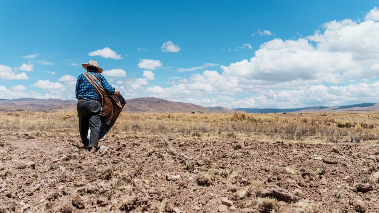 ¿Cómo se prepara la agricultura familiar andina para enfrentar un nuevo Fenómeno El Niño?